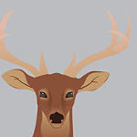 Vector Illustration - Woodland Creatures